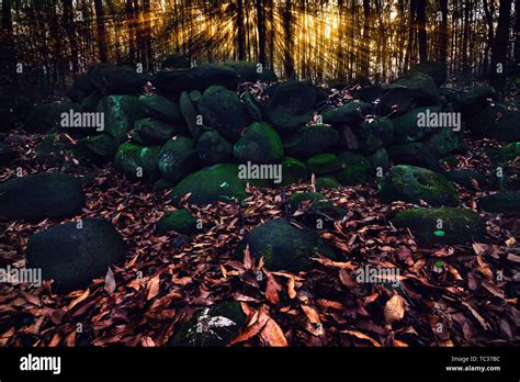 Jungle Volcanic Rocks Stock Photo Alamy