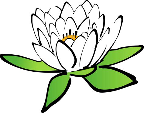 Collection Of Water Lily Png Black And White Pluspng