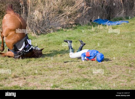 Jockey Falling Off Horse After Failing To Clear Jump Alpraham Cheshire