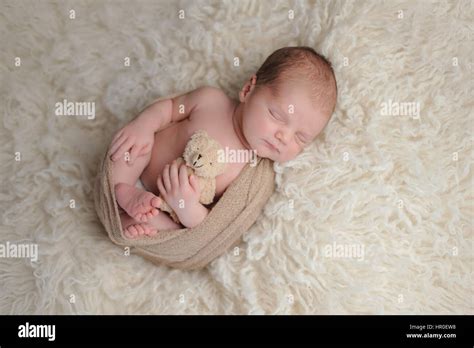 Two Week Old Newborn Baby Boy Swaddled In A Beige Wrap He Is Sleeping
