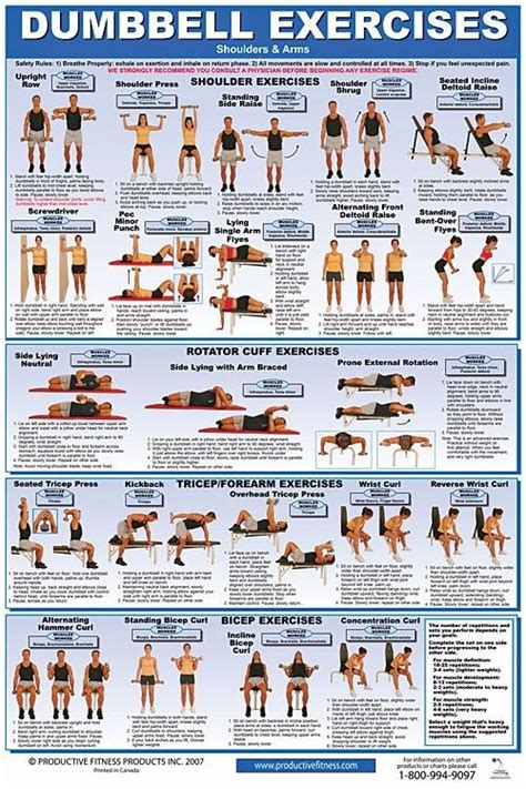 arm exercises chart google search dumbell workout