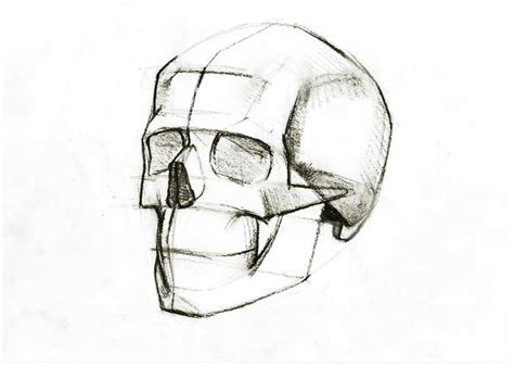 To give the skull some perspective, you can draw a small gap at each end of the line of teeth. Quick sketch of human skull