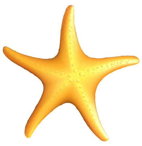 Starfish Clipart Clipart Best