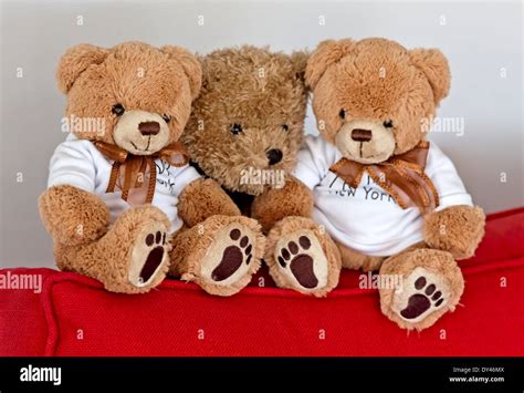 Collection Of Cuddly Teddy Bears In A Seated Position On A Red Couch