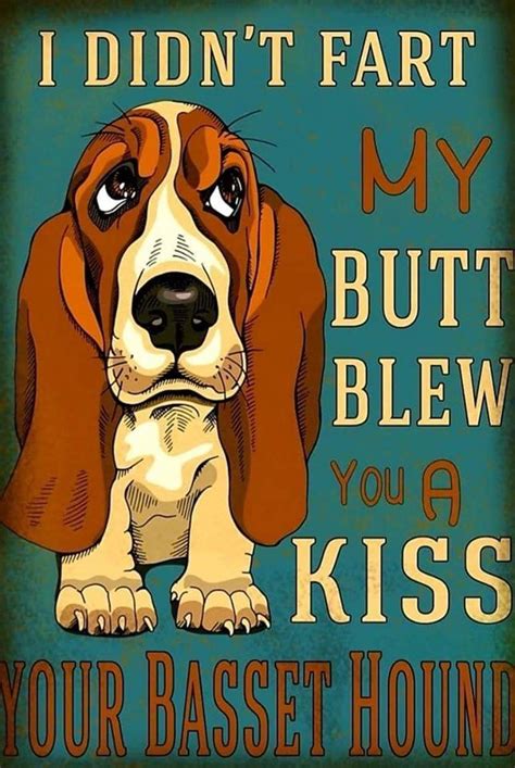 Basset Basset Hound Funny Basset Hound Dog Basset Hound