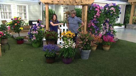 Cottage Farms Dazzling Designs 5 Pc Butterfly Garden On Qvc Youtube