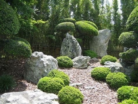 You can see that you will have plenty of choice here! How to arrange a rock garden - design ideas and helpful tips