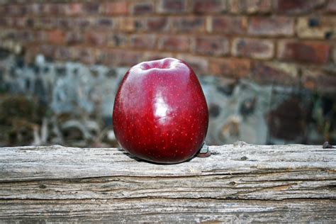 Red Apple In Rustic Setting Free Stock Photo Public Domain Pictures