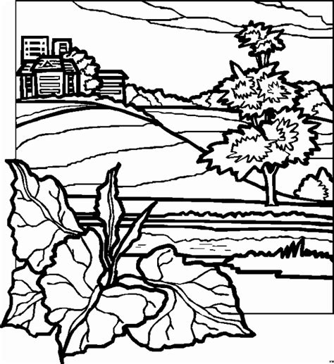 Free Printable Landscape Coloring Pages For Adults Coloring And Drawing