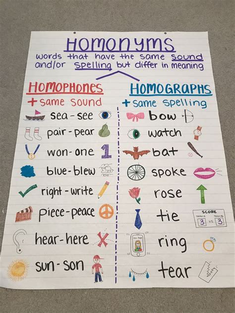 Homonyms Homophones Homographs Classroom Anchor Charts Classroom
