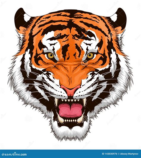 Roaring Tiger Head Cartoon Vector Cartoondealer Com