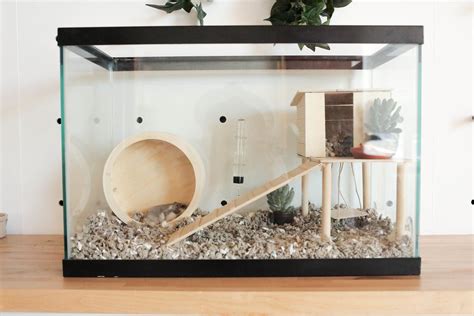 What Youll Need Aquarium Of Your Choice Check Out Housing Guidelines Here Hamster Bedding