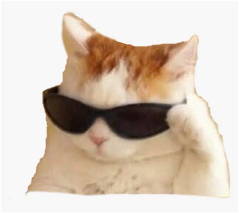Sunglasses Cat Meme Png Rededuct Com