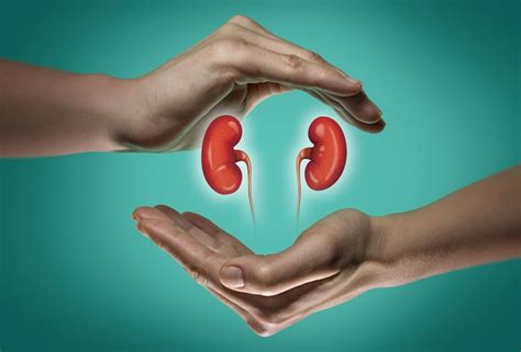 Kidney Failure Gulf Dialysis Technical Services