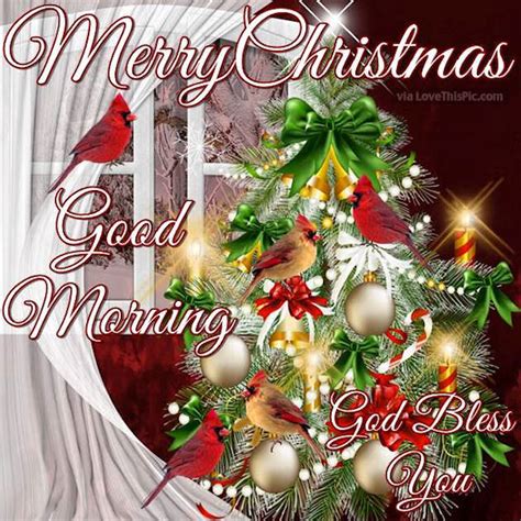 Merry Christmas Good Morning God Bless Pictures Photos And Images For