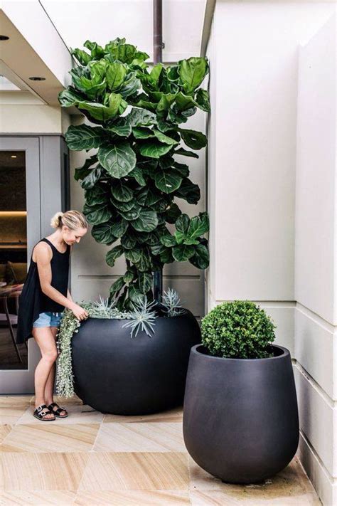 15 Amazing Artificial Indoor Plants Ideas To Give Gardening Look Genmice