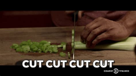 Cut Cut Gifs Get The Best Gif On Giphy