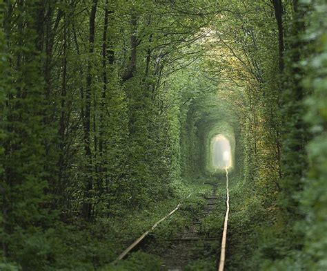 Beautiful Places In The World That Actually Exist Tunnel Of Love Beautiful Places In The
