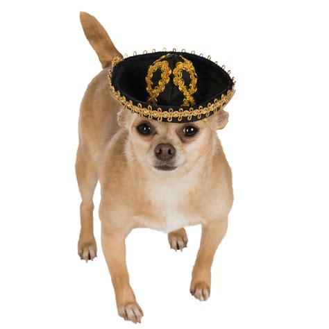Sombrero Dog Hat By Rubies Blackgold Baxterboo