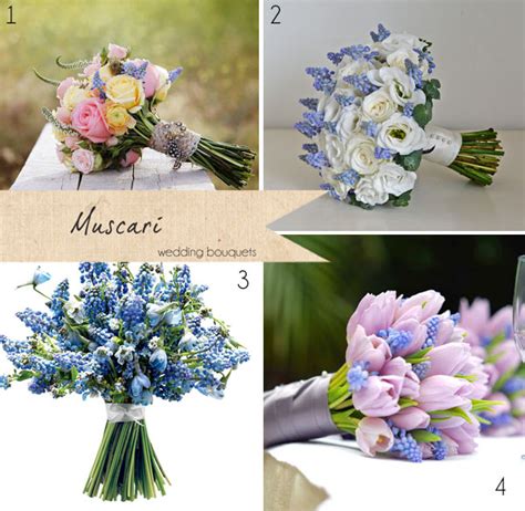 Blue Muscari Grape Hyacinths ~ Get To Know Your Wedding Flowers