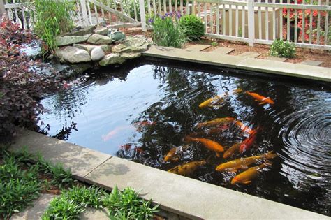 Harga jasa kolam ikan koi+kaca minimalis 2. Warna Cat Untuk Kolam Ikan Minimalis - KOLAMA