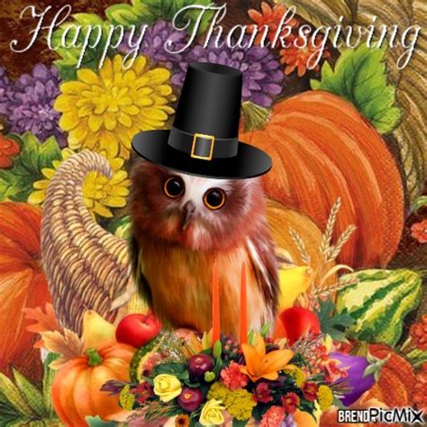Thanksgiving Owl Free Png Picmix