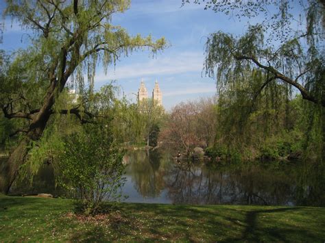 Pond Central Park New York