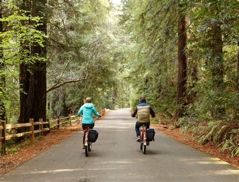 After your application is approved you will be able to spend time with the animals that interest you. Bike Ride the Cross Marin Trail in West Marin North Bay ...