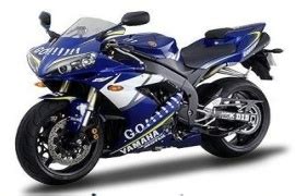 I argued this because of the following: YAMAHA YZF 1000 R1 MotoGP Replica (2005 - 2016)