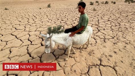 Apakah Gelombang Panas Banjir Angin Topan Dan Kekeringan Terkait