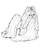 Shih tzu coloring book for adults: 8 best Shih Tzu: Coloring images on Pinterest | Coloring ...