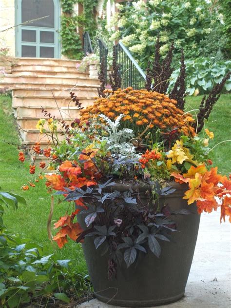Find And Save Ideas About Fall Flower Pots On Pinterest See More
