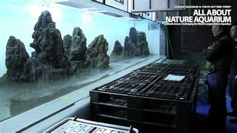 It provides equipment for aquarium. TAKASHI AMANO × SUMIDA AQUARIUM Vol.2 - YouTube