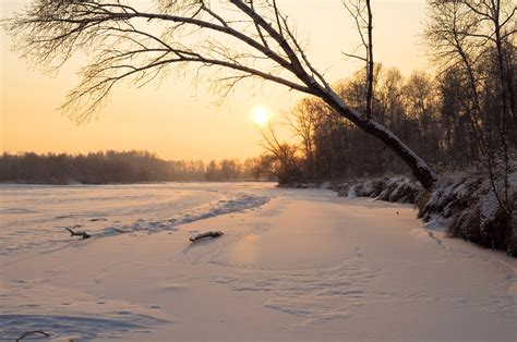 Winter Evening Free Stock Photo Public Domain Pictures