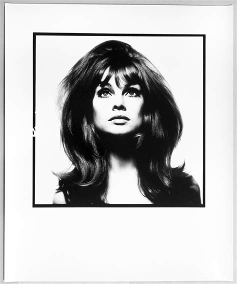 Jean Shrimpton By David Bailey On Artnet Auctions