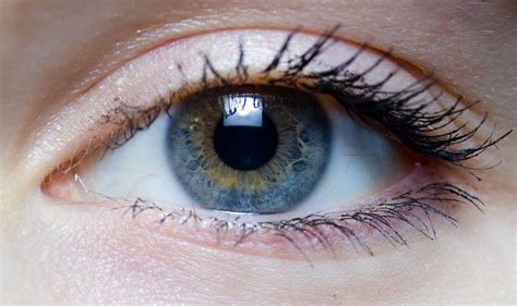 In the blink of an eye performed by: Night Vision Eye Drops News: Researcher Science for the ...