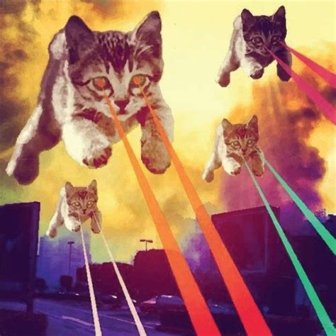Lasers Gato Psicodelico Gato Espacial Gatos Raros