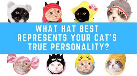 Top 134 Which Animal Best Represents Your Personality And Why