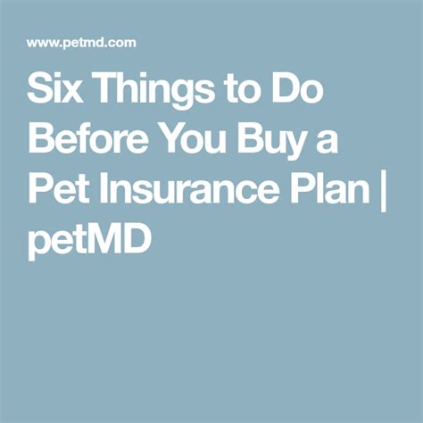 You are responsible for the remaining 20%. Six Things to Do Before You Buy a Pet Insurance Plan | petMD | Pet insurance cost, Pet insurance ...