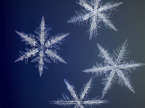 Macro Snowflake Photography