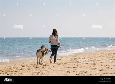 Teenager Mädchen Mit Hund Am Strand Uk Fotos Und Bildmaterial In Hoher Auflösung Alamy