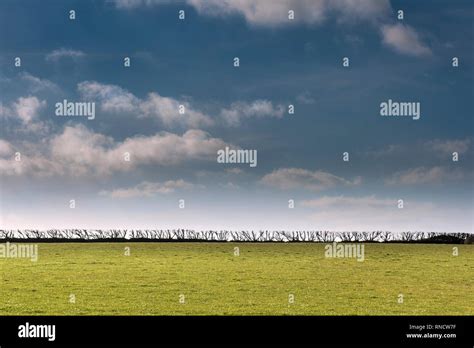 Neat Hedge Hi Res Stock Photography And Images Alamy