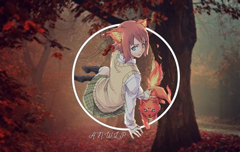 Wallpaper Forest Cat Girl Anime Madskillz Agnoli Images For