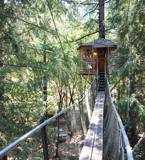 Forestree Out N About Treehouse Treesort Treehouses For Rent In