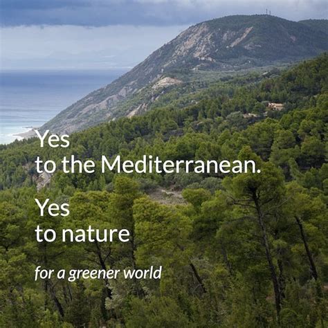 Restoring Mediterranean Forests To Protect Nature Biodiversity And