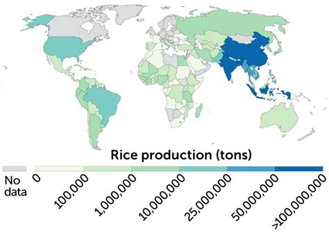 Rice Feeds Half The World Climate Changes Droughts And Floods Put It