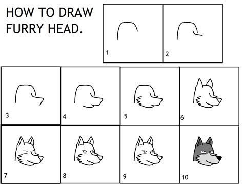 Furry Head  Draw