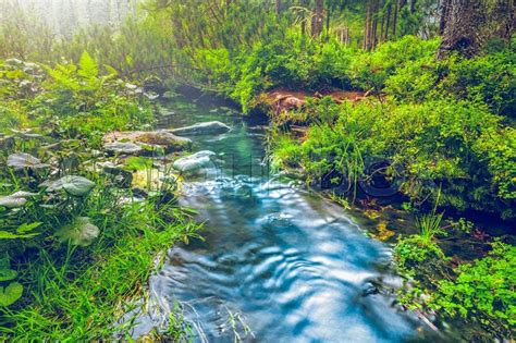 Mountain Stream In Green Forest Carpathians Ukraine Stock Photo