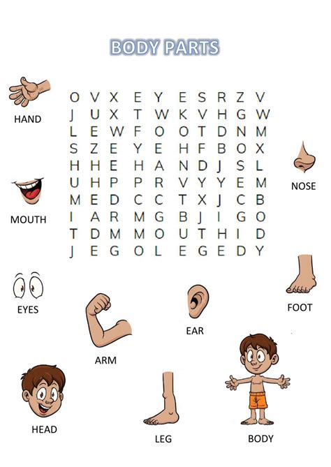 Body Parts Wordsearch Interactive Worksheet English Lessons For