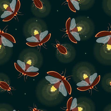 Royalty Free Firefly Clip Art Vector Images And Illustrations Istock